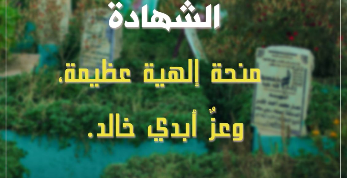 الشهداء أساتذة في الحــــــــــــرية وقدوات في العطاء والتضحية