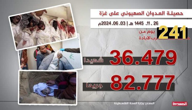 أحصائية غزة
