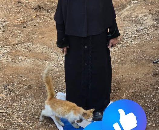 لبنانية