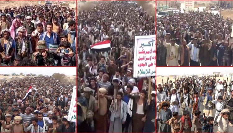 مارب